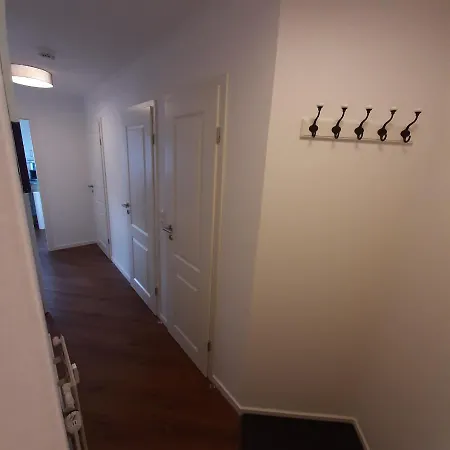 Seestern Grömitz